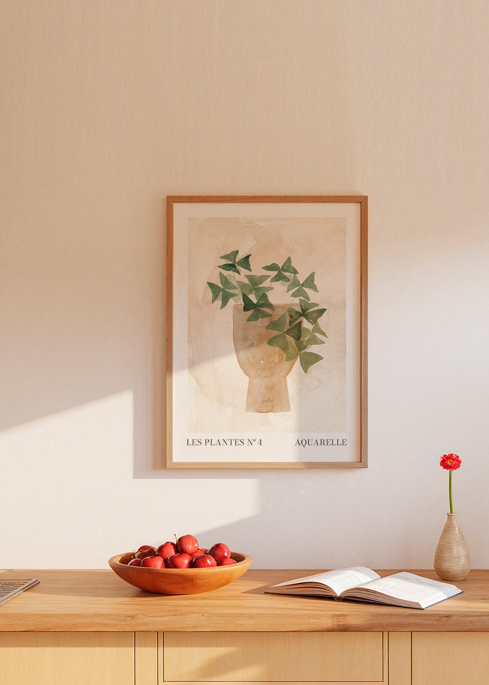 Les plantes Nº4
