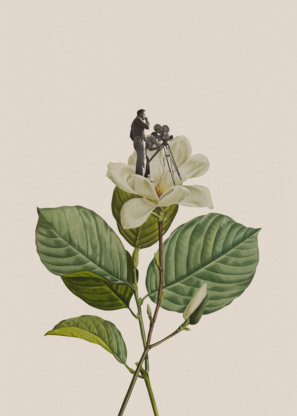 Botanical vintage cameraman