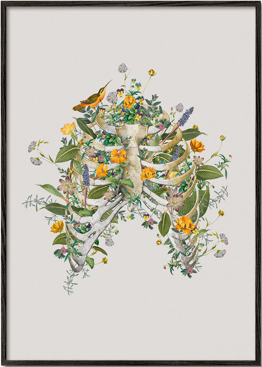 Floral thorax