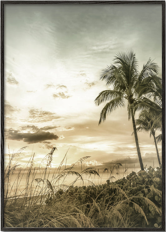 BONITA BEACH Bright Vintage Sunset