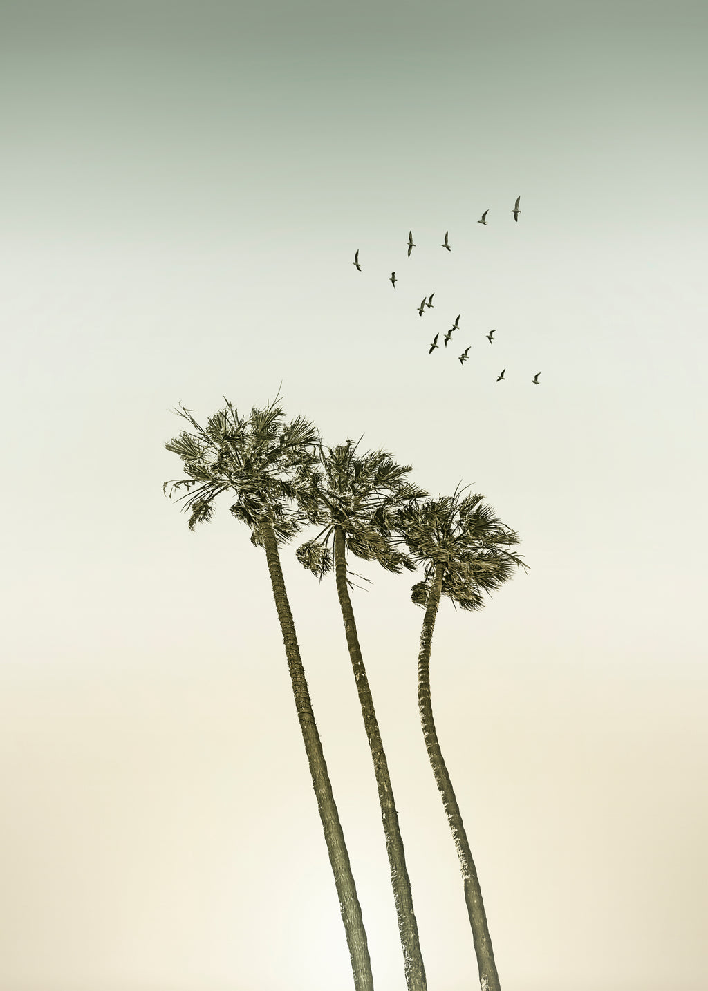 Vintage palm trees at sunset - Unframed art print