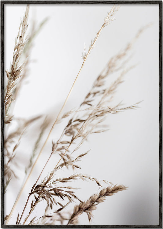 Summer Grass 2