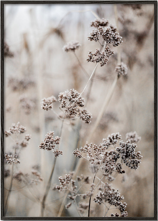 Unknown 8