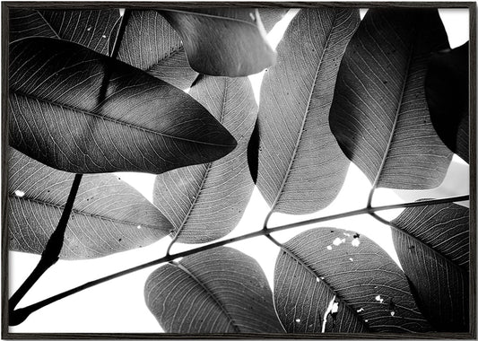 Branches and Leaves, 2016, 3