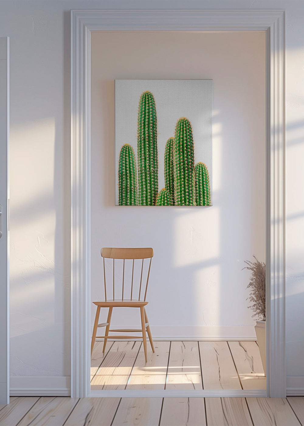 cactus, cacti 2
