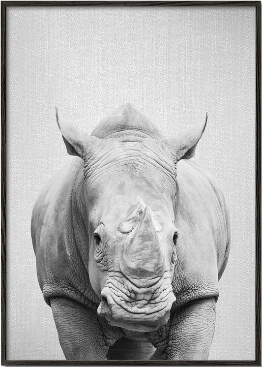 Rhino - Black & White