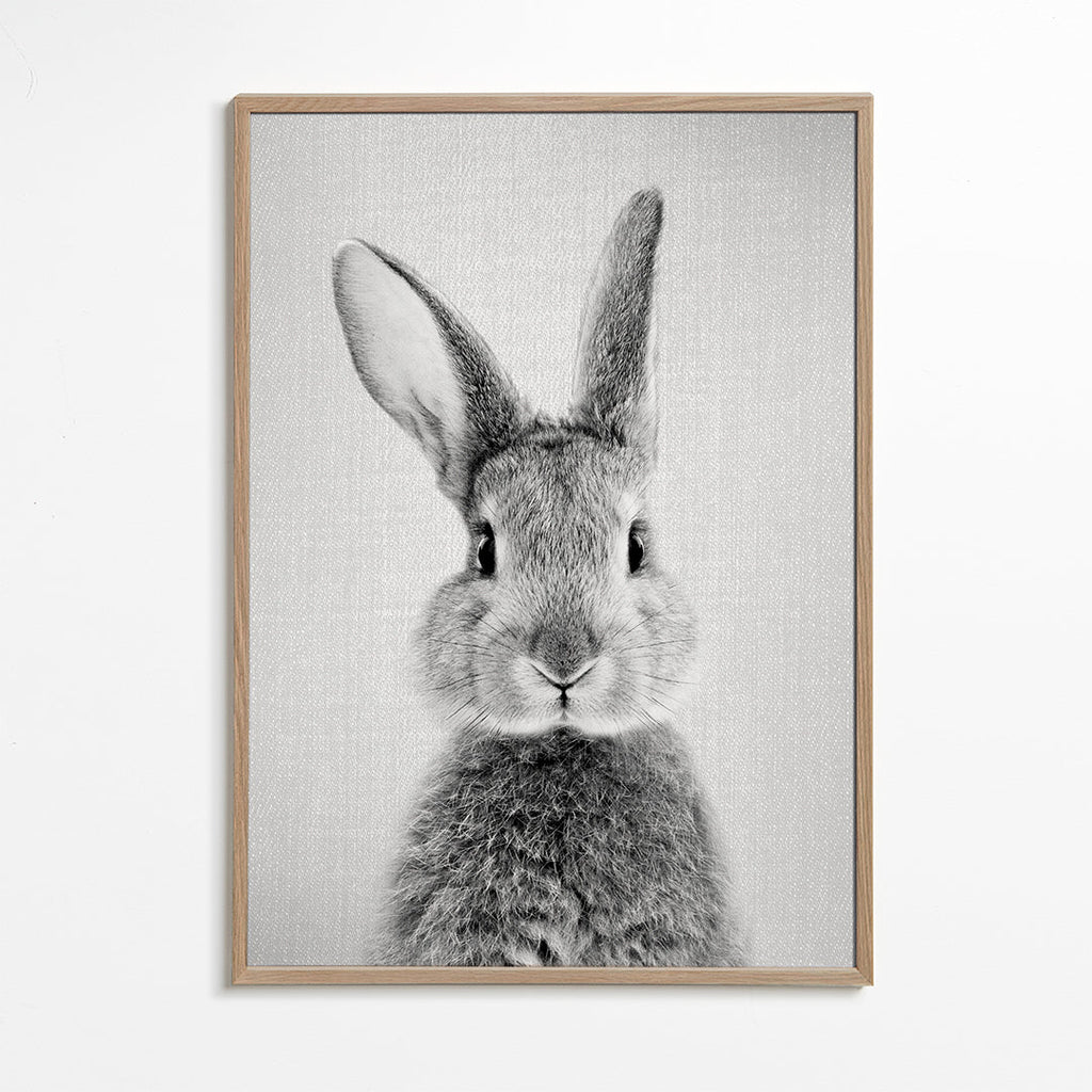 Rabbit - Black & White