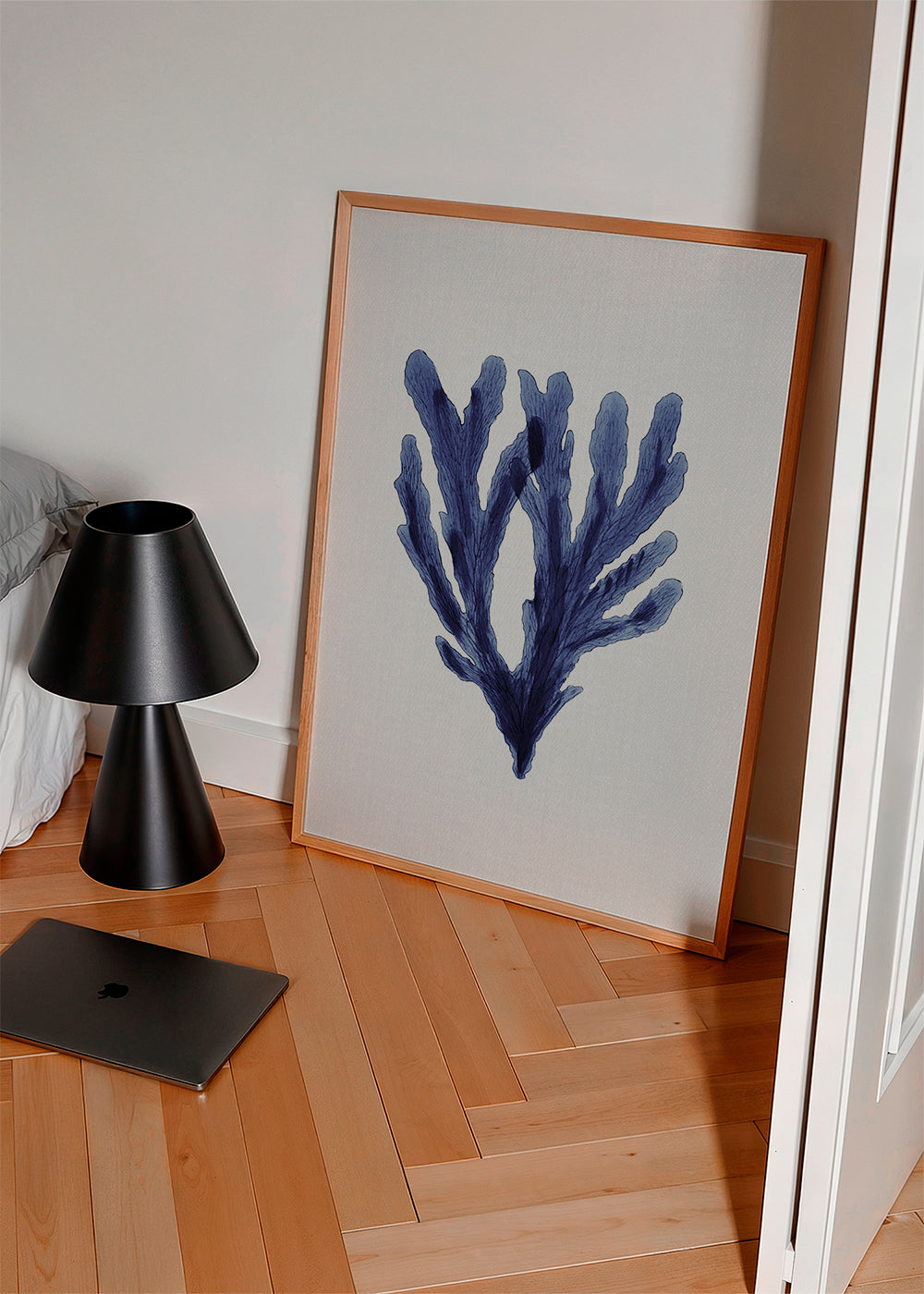 Seaweed 6