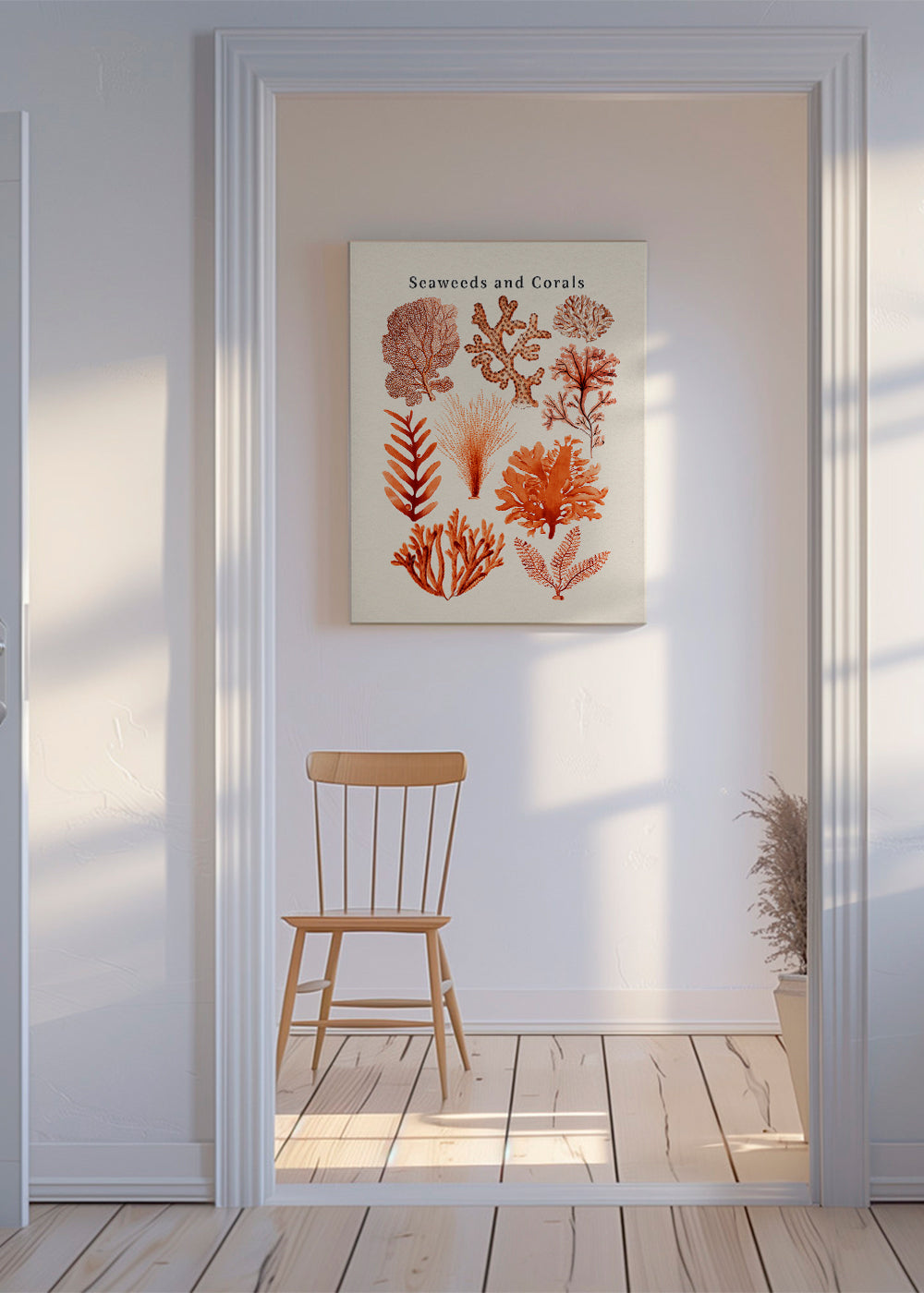 Seaweed & Corals Collection
