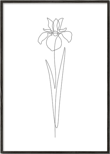 Dear Iris