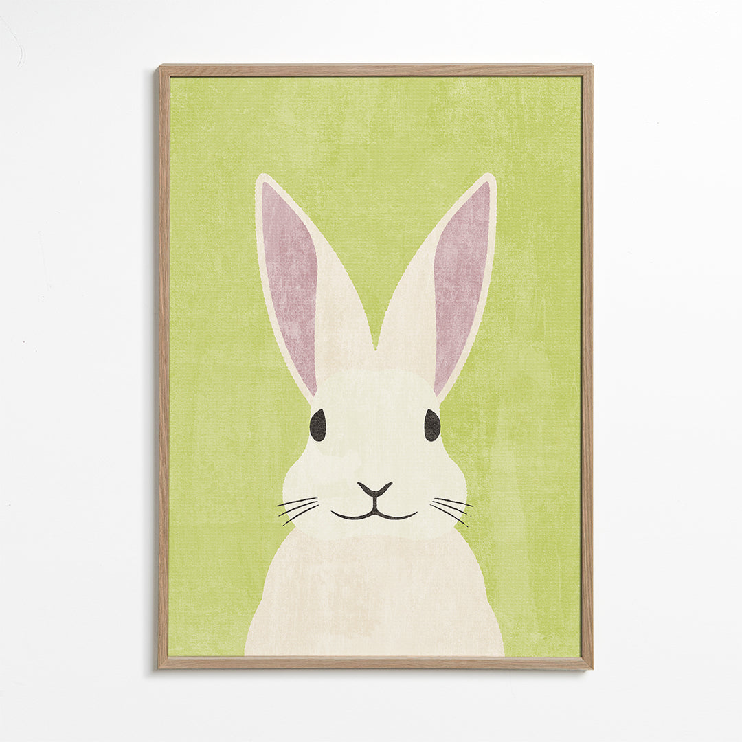 FAUNA / Rabbit