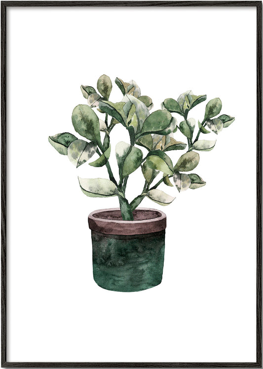 Potted Plantfriend