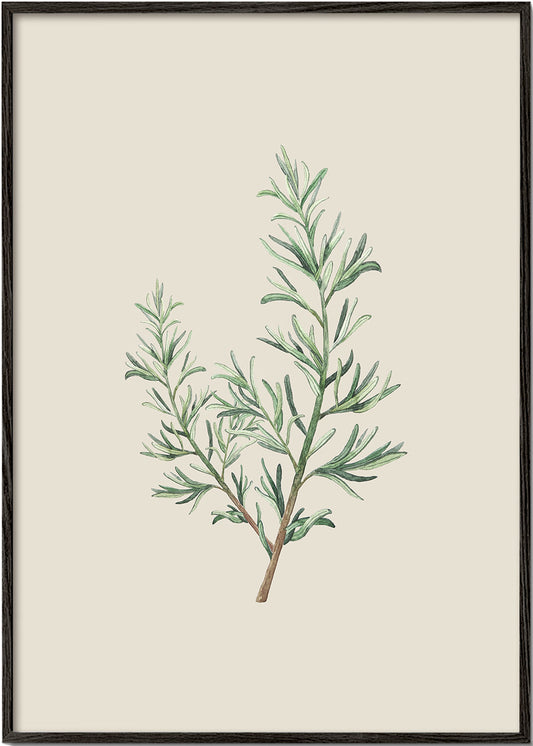 Rosemary Branch Beige