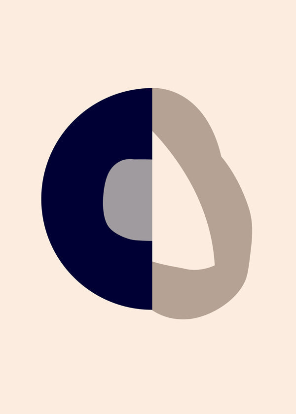 Form IXX