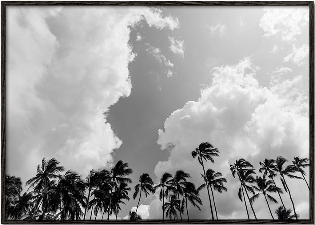 Cuadro de paisaje: palmeras en blanco y negro – Black Frame