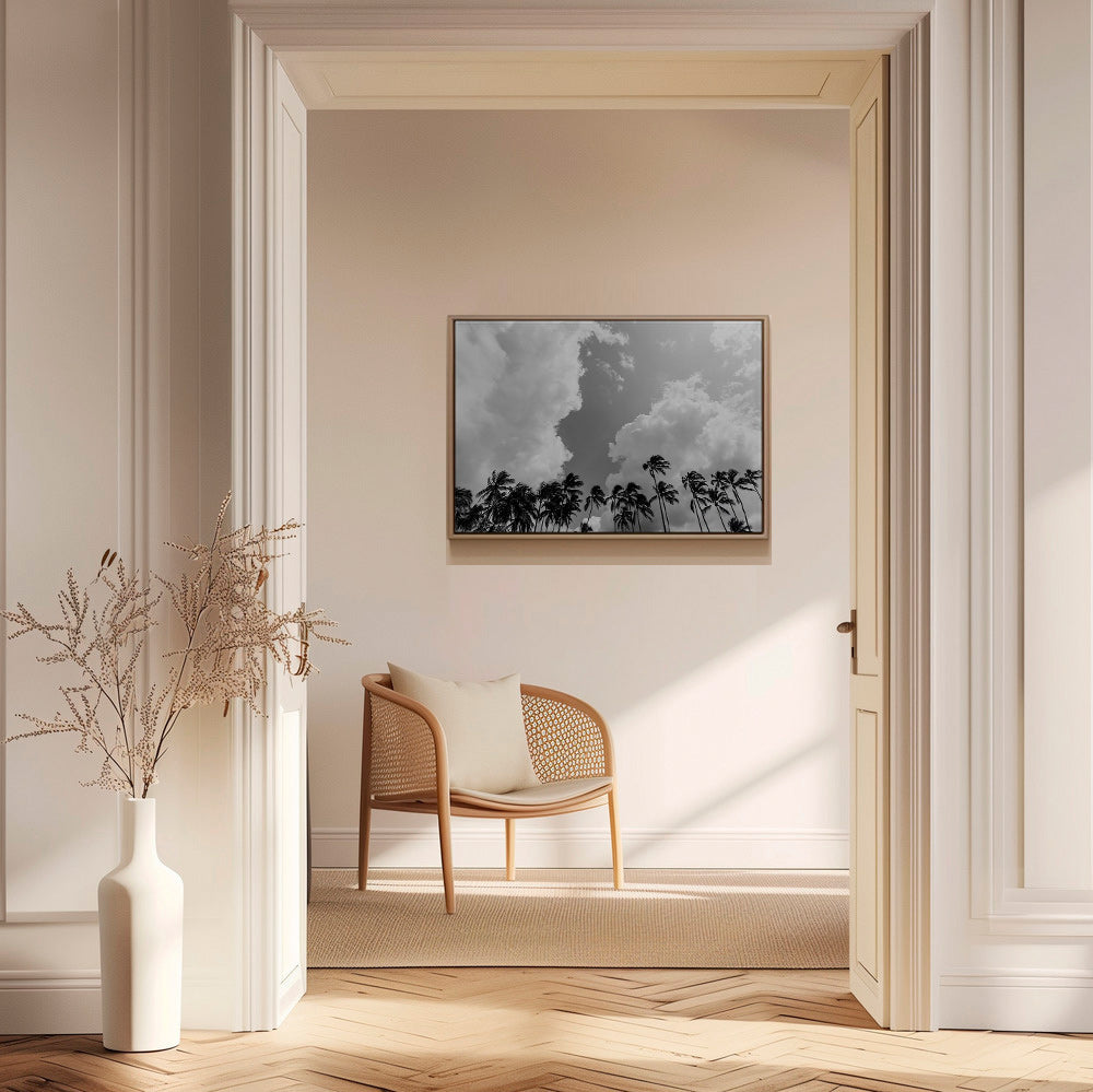 Cuadro de paisaje: palmeras en blanco y negro – Canvas1