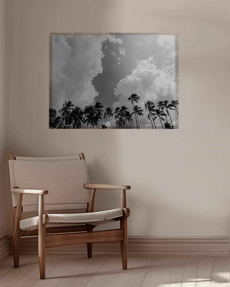 Cuadro de paisaje: palmeras en blanco y negro – Canvas