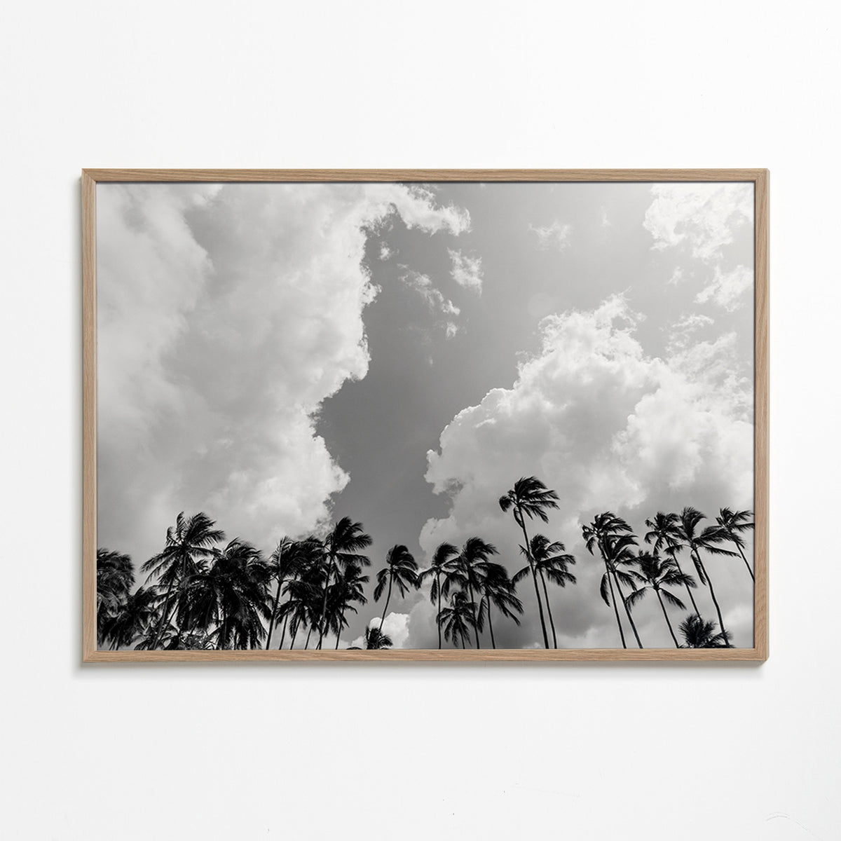 Cuadro de paisaje: palmeras en blanco y negro – Oak Frame