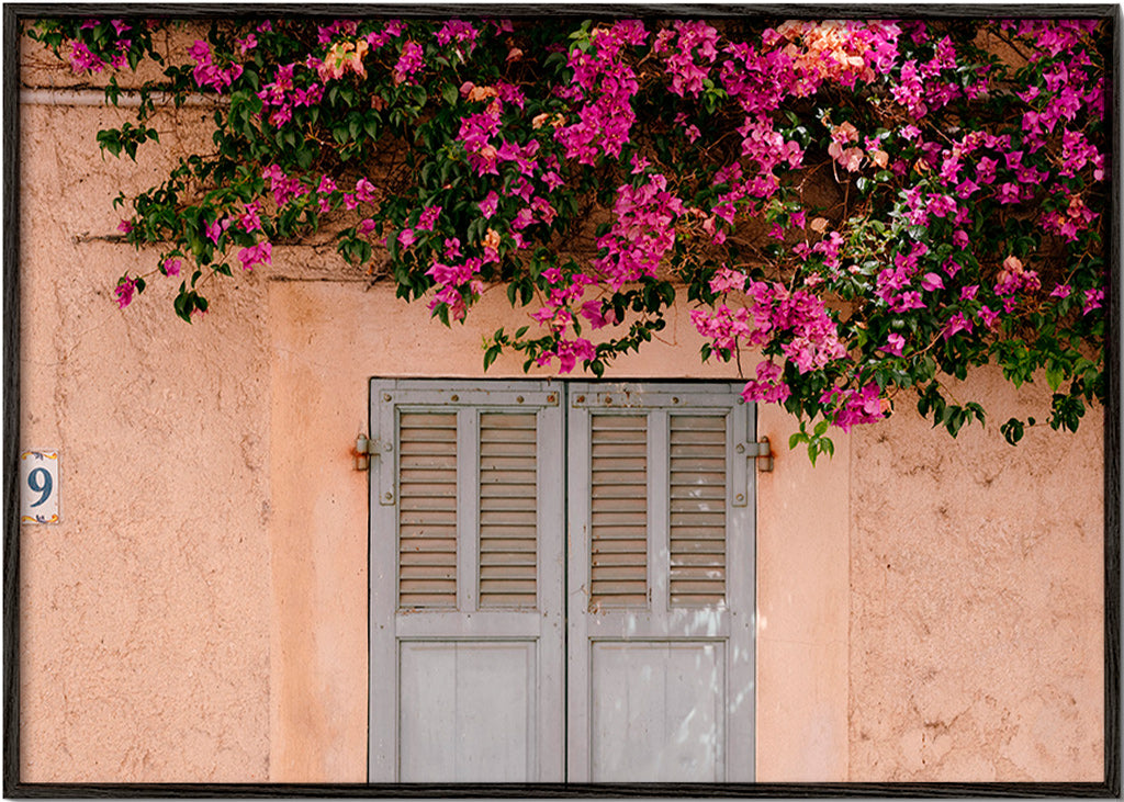 Lámina botánica con buganvillas sobre puerta antigua – Black Frame