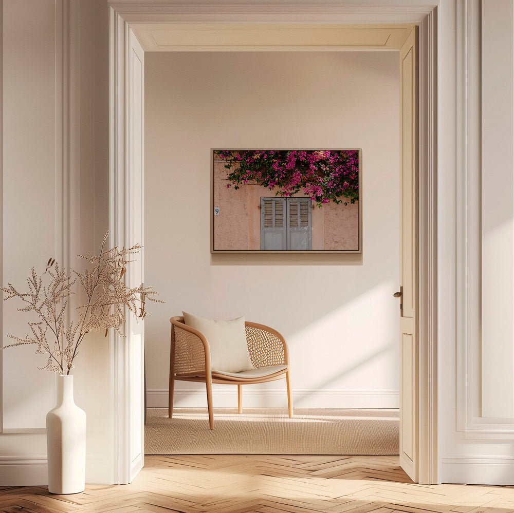 Lámina botánica con buganvillas sobre puerta antigua – Canvas2