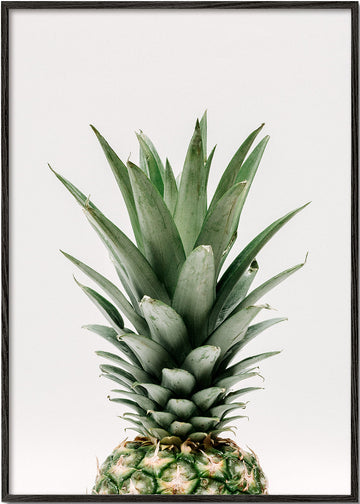 Pineapple Top Print