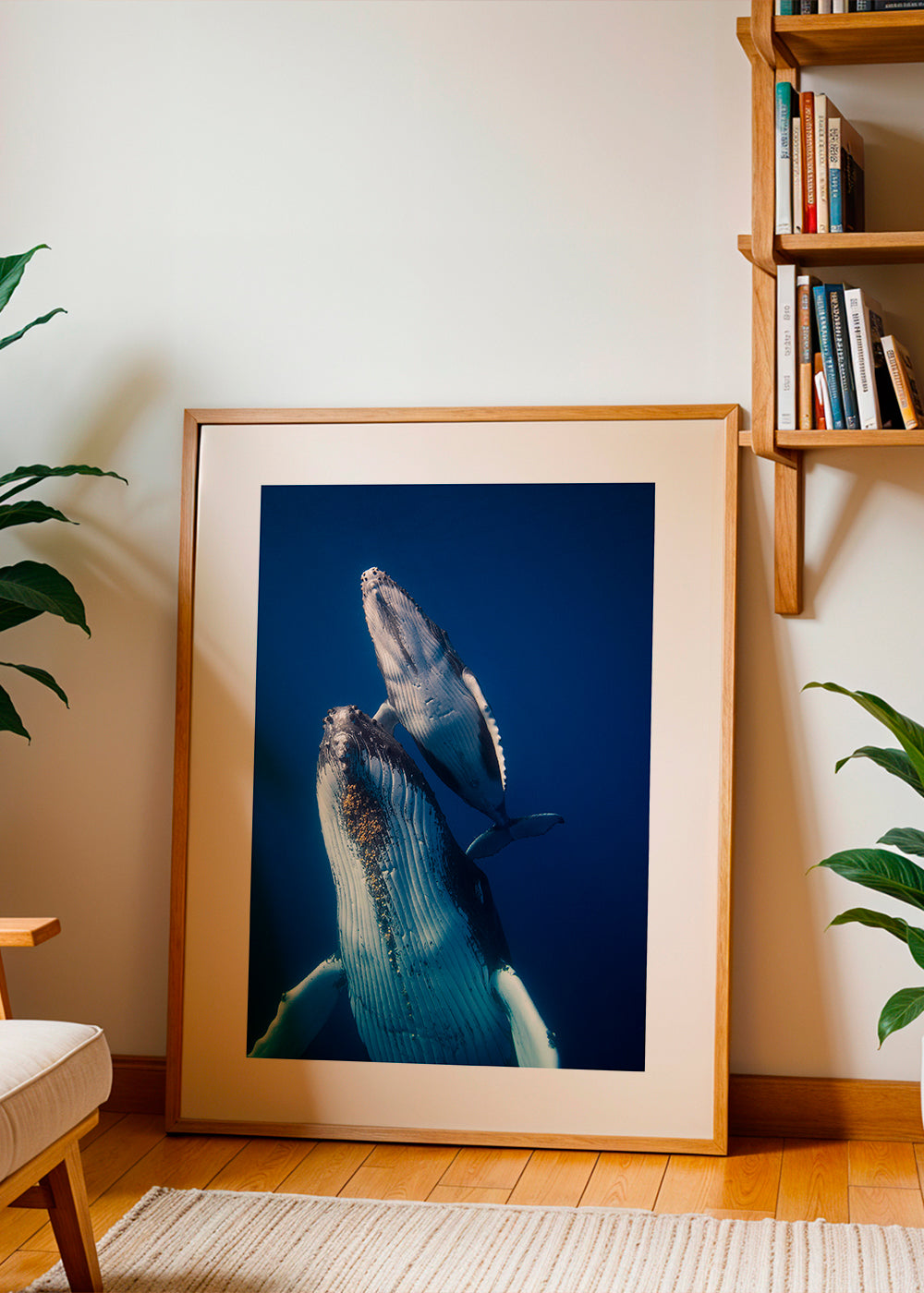 Come back to the surface - Barathieu Gabriel