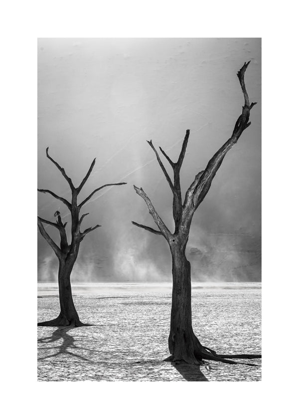 Afterlife - fegari