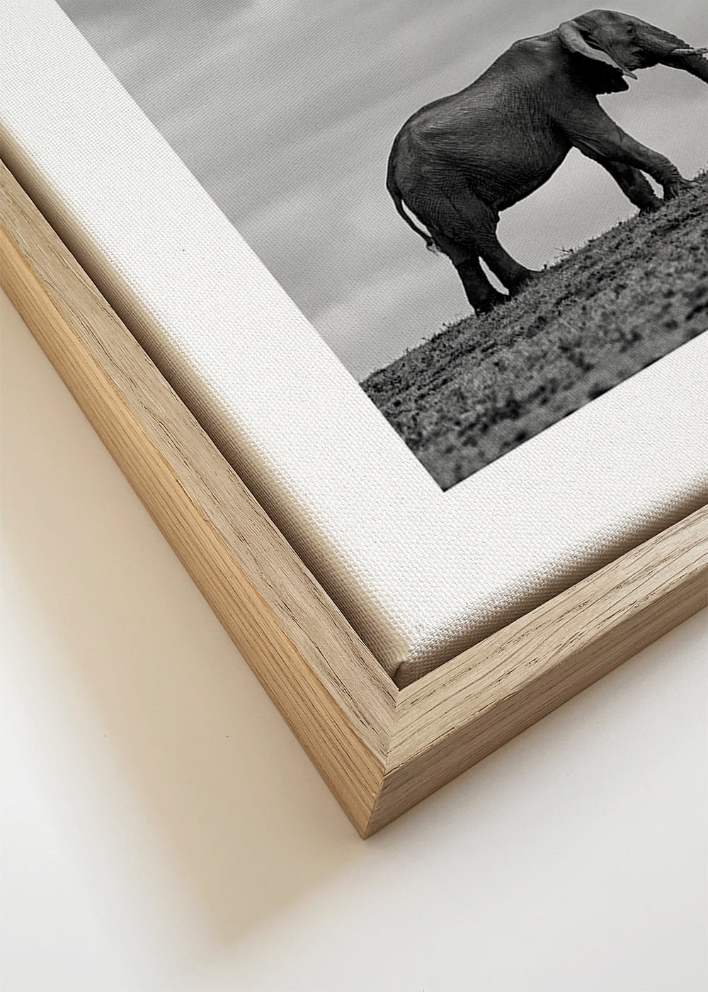 Elephant Landscape 2 - Mario Moreno