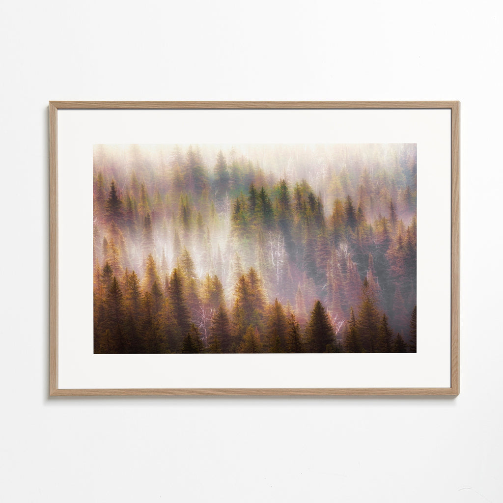 Untitled 2 - Atul Chopra