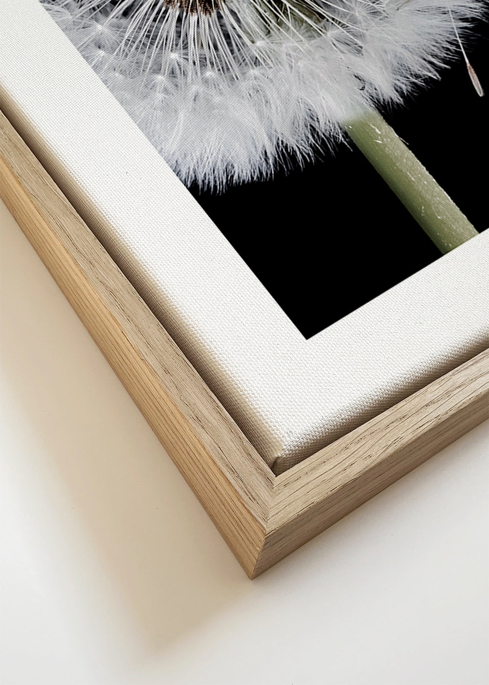 Dandelion Blowing - Bess Hamiti