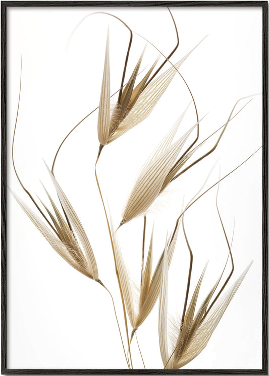Delicacy of nature - Thierry Lagandré (Transgressed