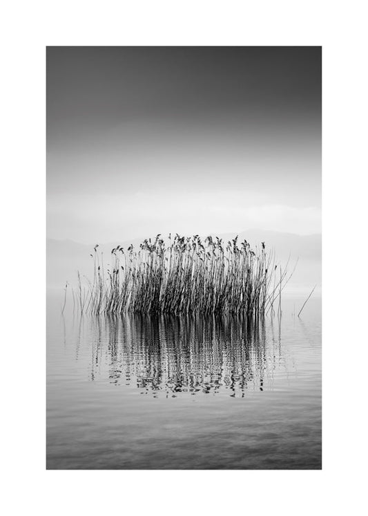 Black and White Silence - George Digalakis