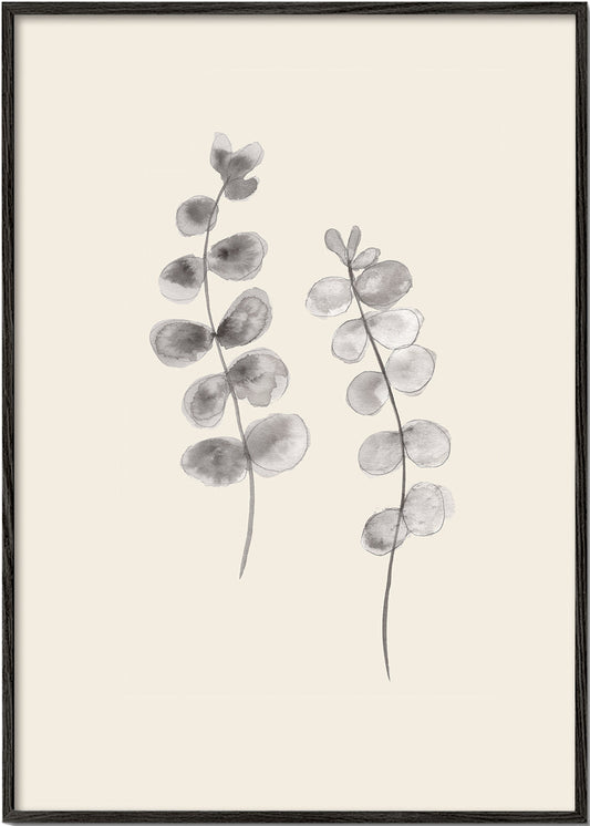 Eucalyptus Twigs - 1x Studio