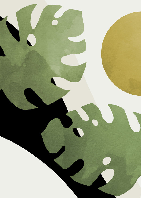 Monstera Cut Out 04 - 1x Studio II