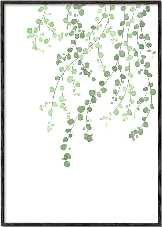 Birch Tree - 1x Studio II