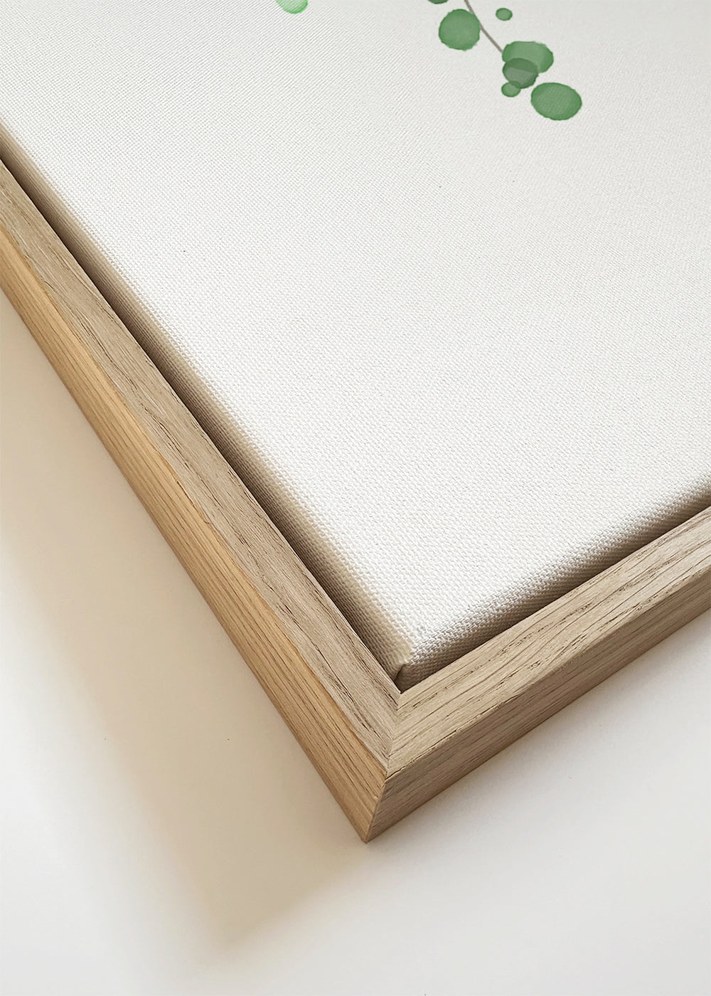 Birch Tree - 1x Studio II