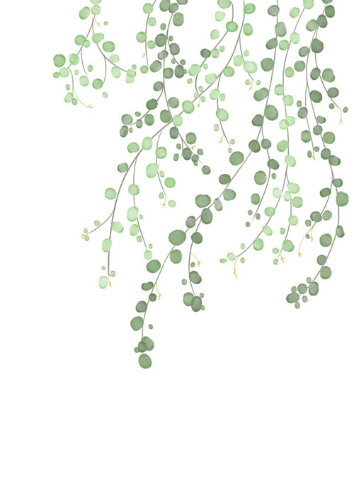 Birch Tree