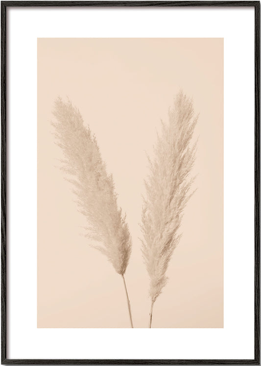 Pampas Grass Beige 01 - 1x