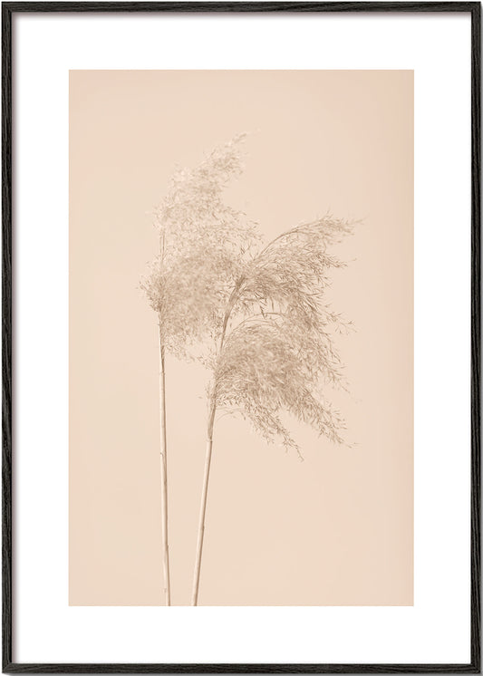 Reed Grass Beige 02 - 1x