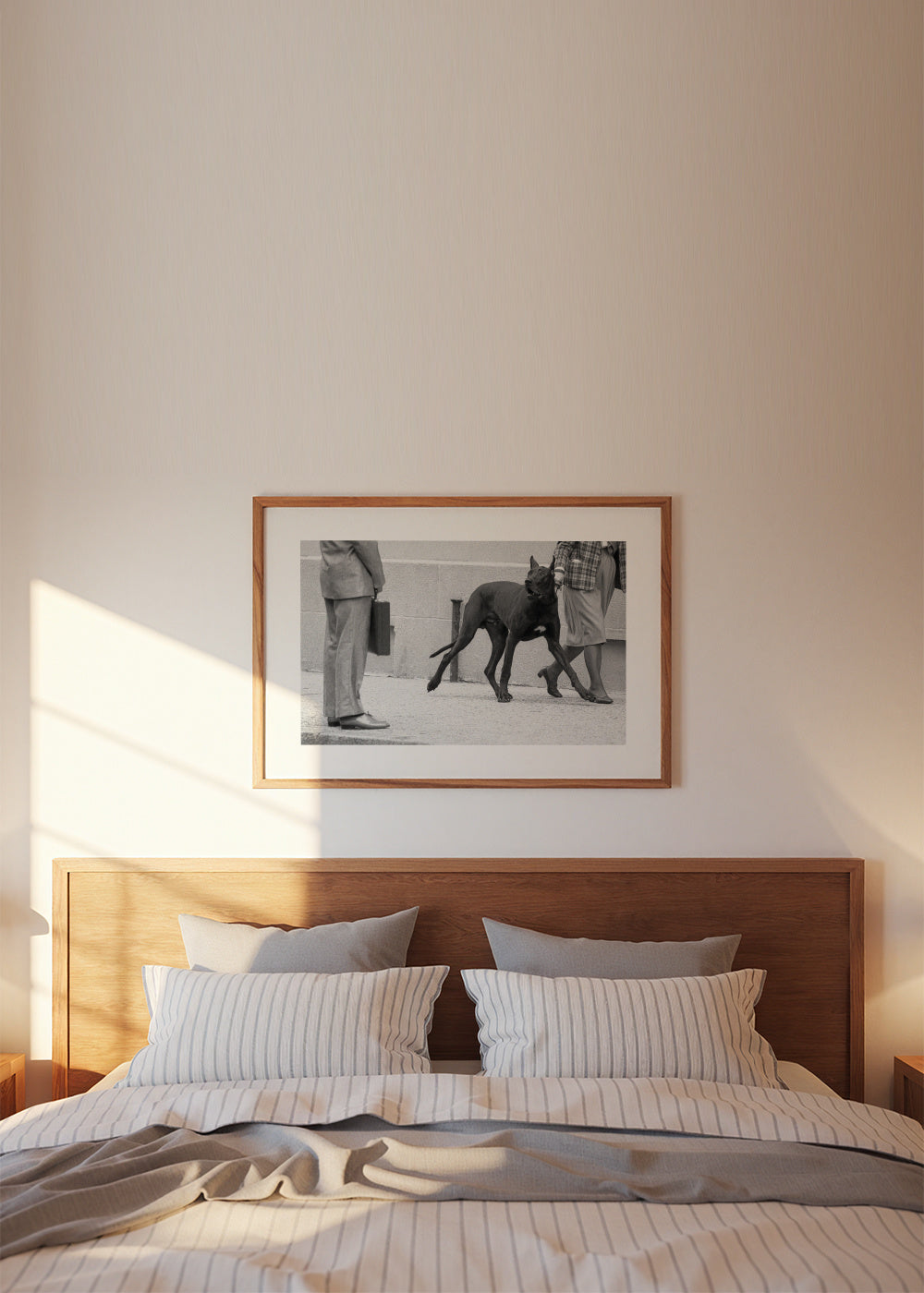 Great dane bodyguard - Framed poster in an interior