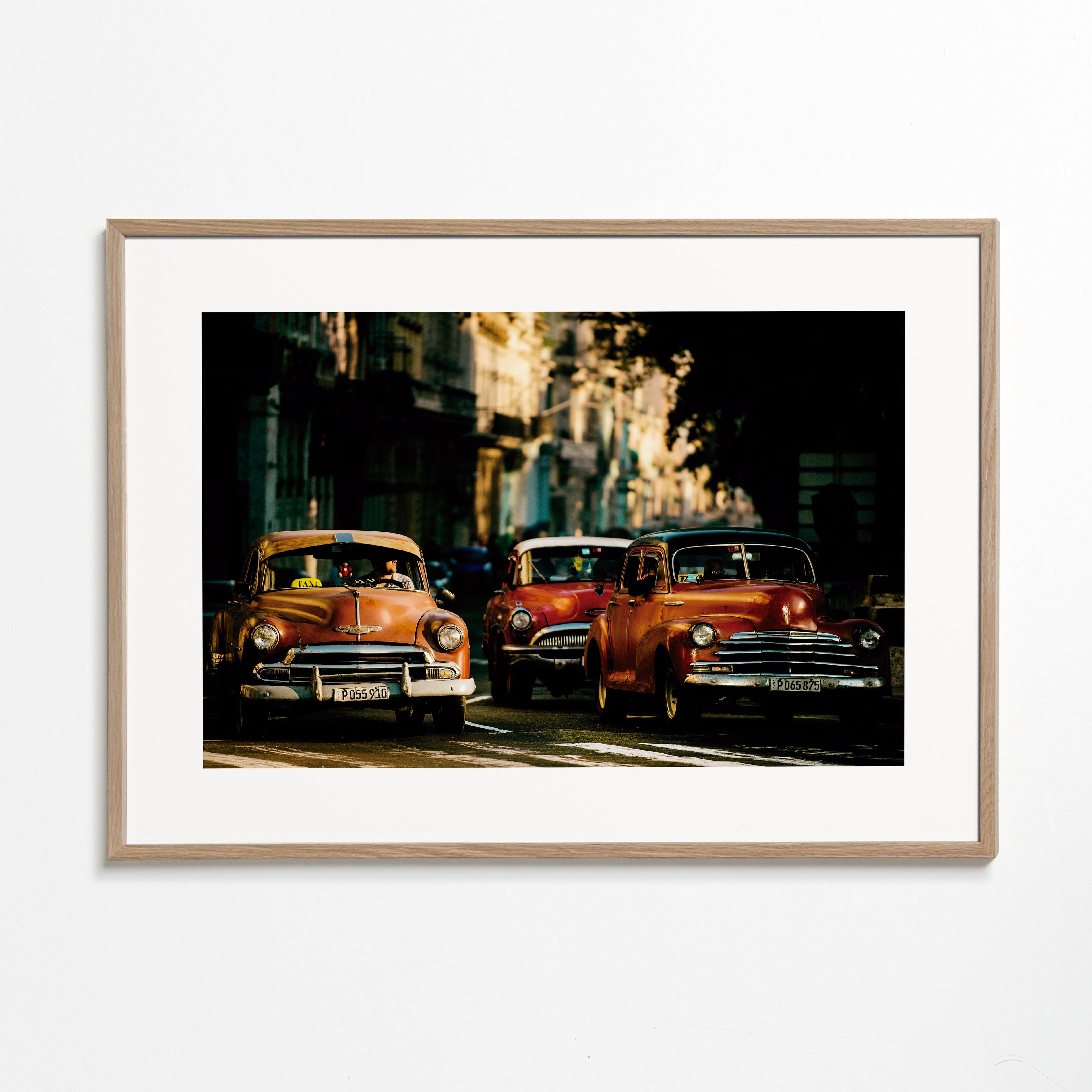 Come with me in the morning light - Gina Buliga