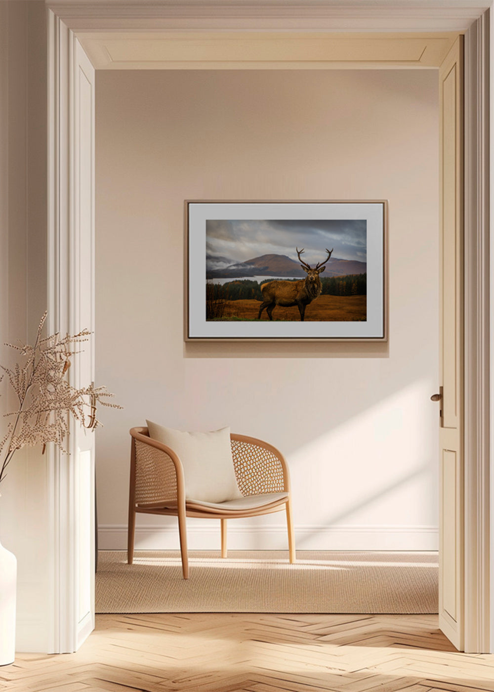 Scottish Stag - Adrian Popan