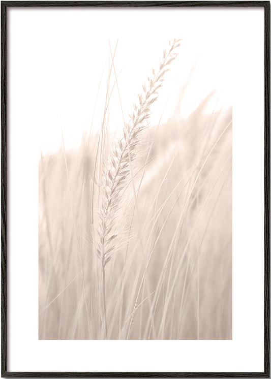 Grass V
