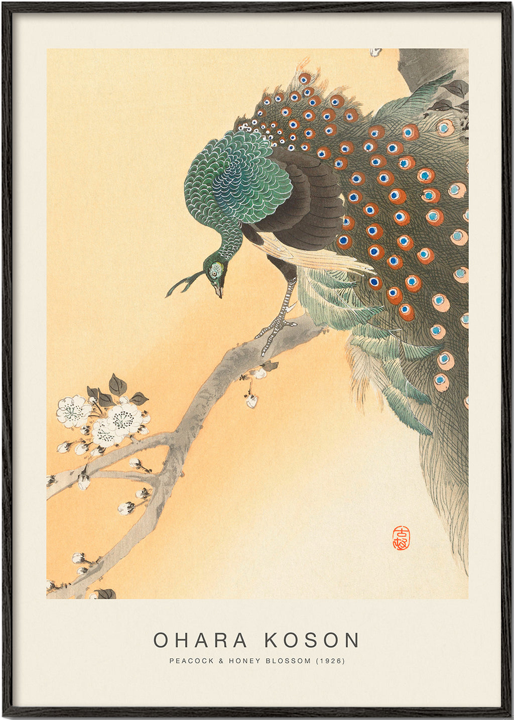 Peacock & Honey Blossom (Special Edition) - Ohara Koson