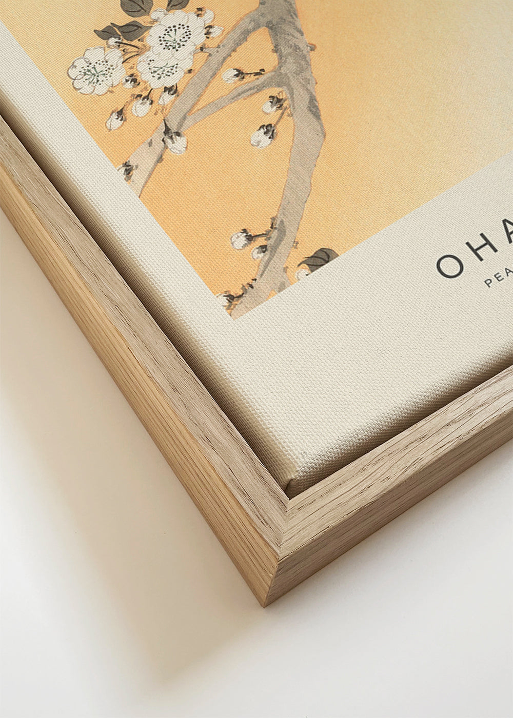 Peacock & Honey Blossom (Special Edition) - Ohara Koson