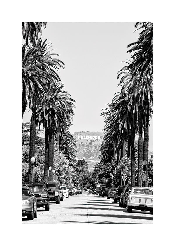 Travel poster: Hollywood palm street in black and white
