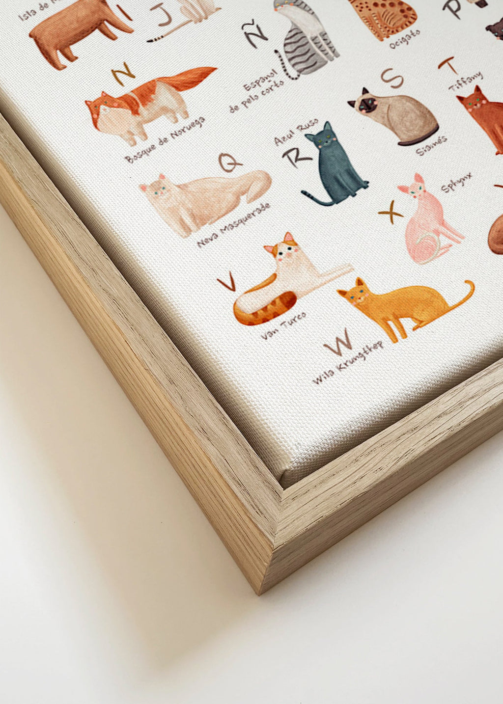 Children's print: Illustrated cat alphabet