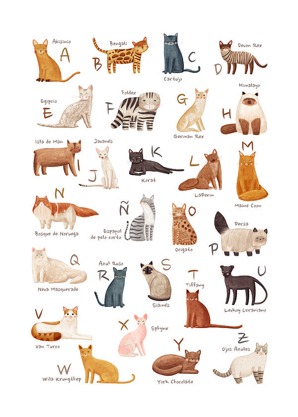 Children's print: Illustrated cat alphabet