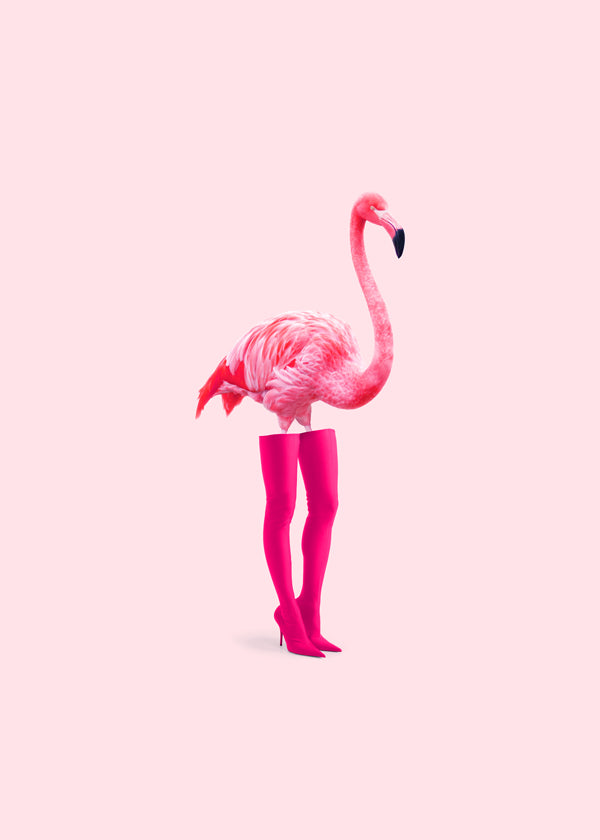 Flamiciaga