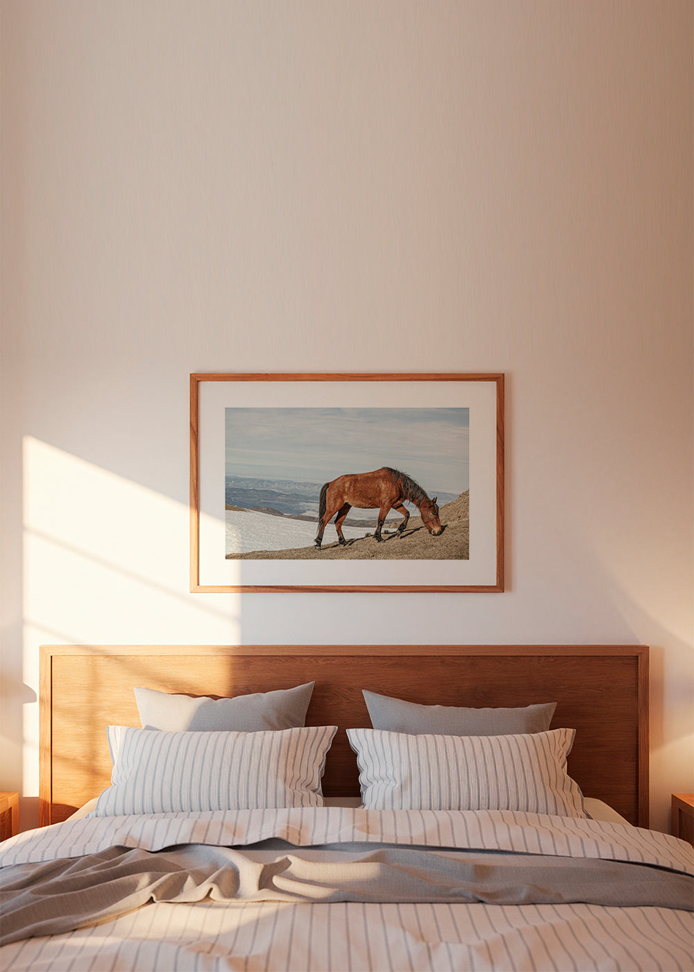 Wild Horses V